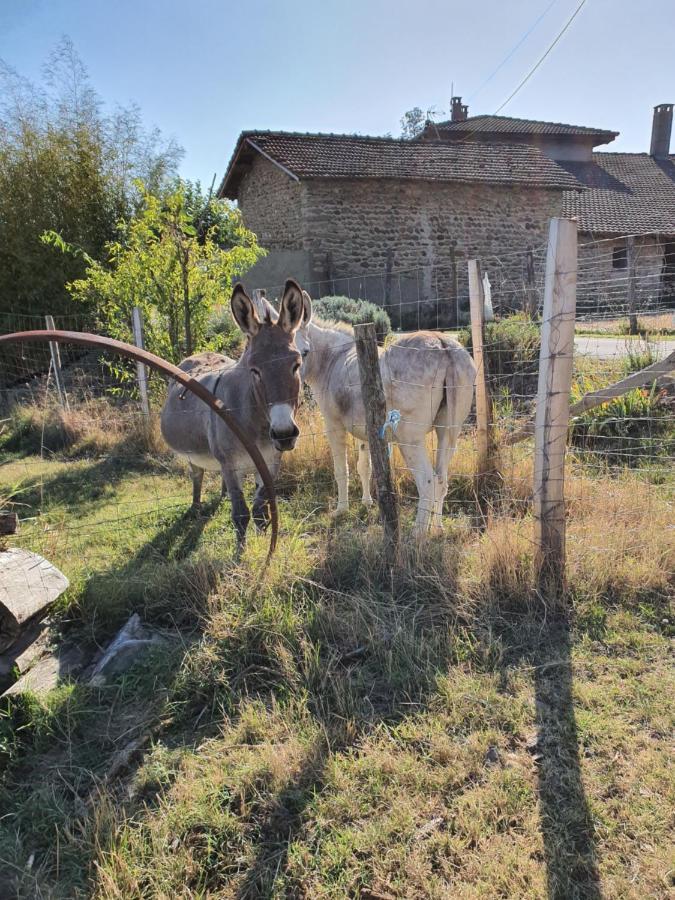 Les Figuets Villa Chateauneuf-de-Galaure Екстериор снимка